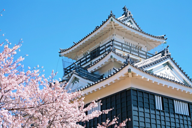 浜松市イメージ